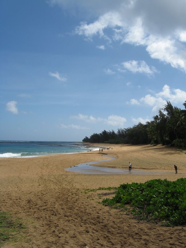 Kauai_strand